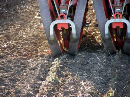 Λεπτομέρεια μεταφυτευτικής μηχανής