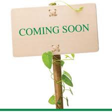 Ο κατάλογος με τα προιόντα μας σύντομα κοντά σας.